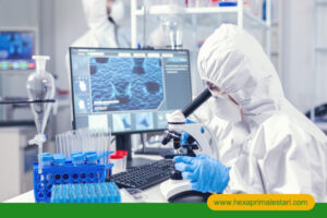 artikel - hexa prima lestari (2)