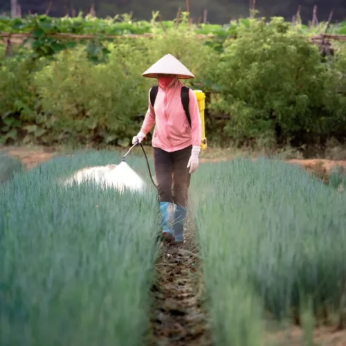 UJI EFEKTIVITAS PUPUK2