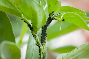 [GetPaidStock.com]-6864f178a0ff0